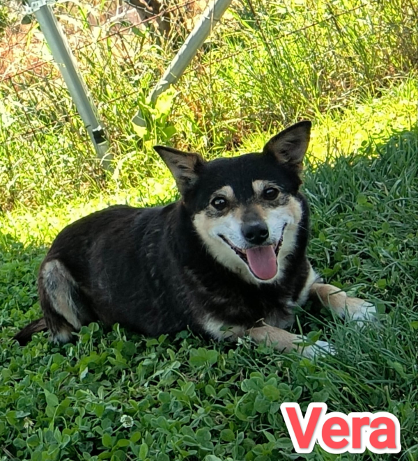 VERA