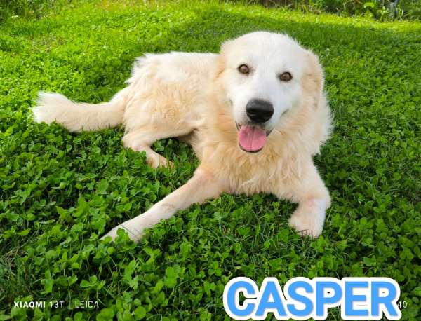 CASPER