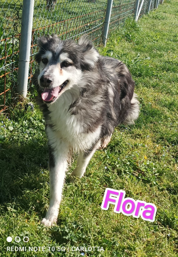 FLORA