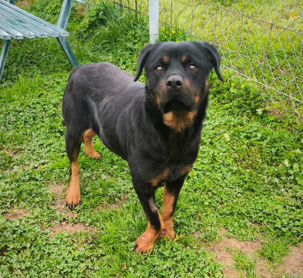 XENA