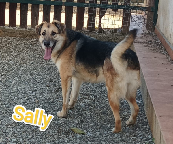 SALLY