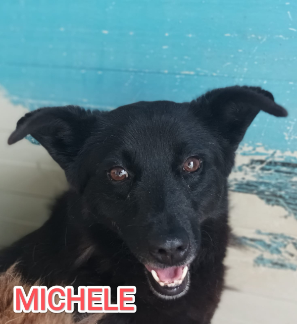 MICHELE