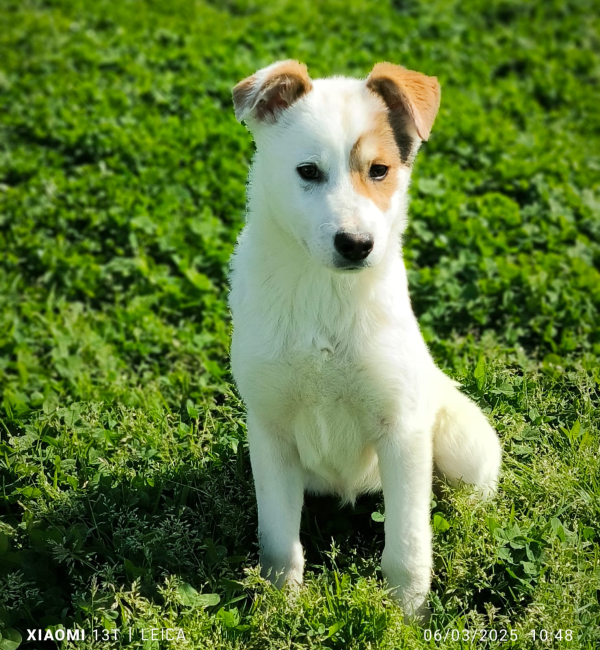 ZORA