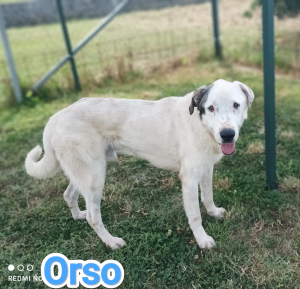 ORSO